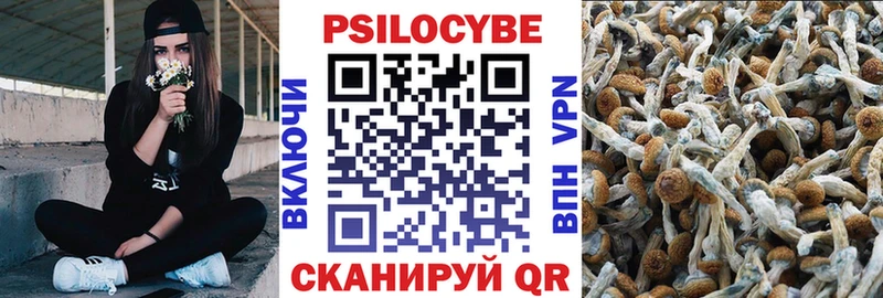 Купить закладки  Новоалександровск  Псилоцибиновые грибы GOLDEN TEACHER 
